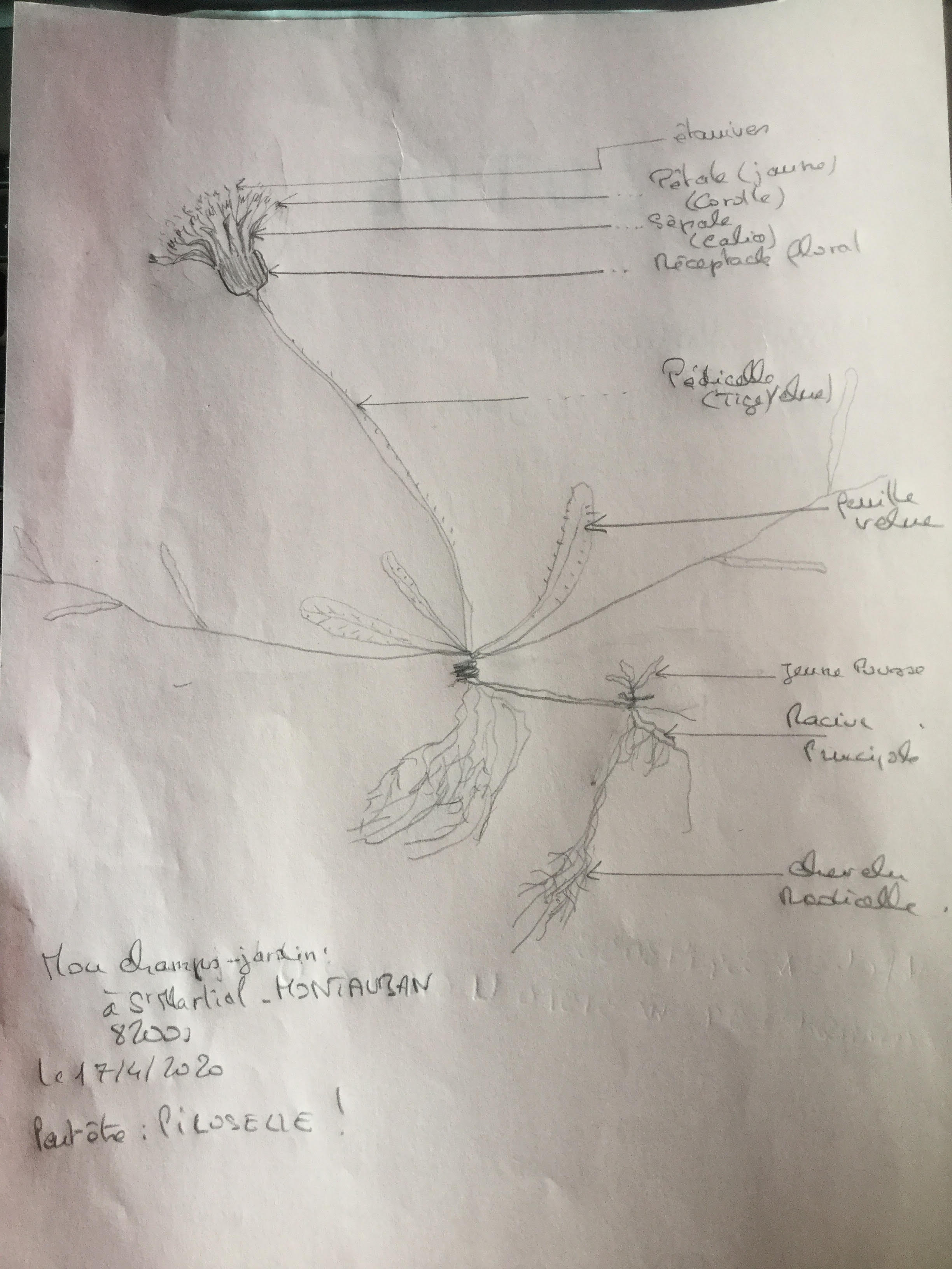 Dessin pour cession comprendre