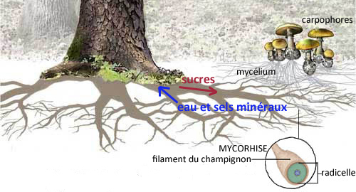 Annexe Interaction.jpg