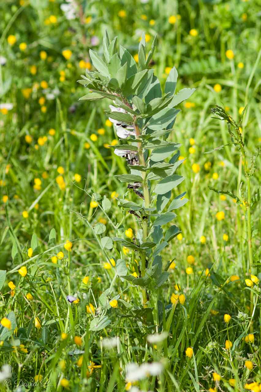 Annexe img_000229779O.jpg