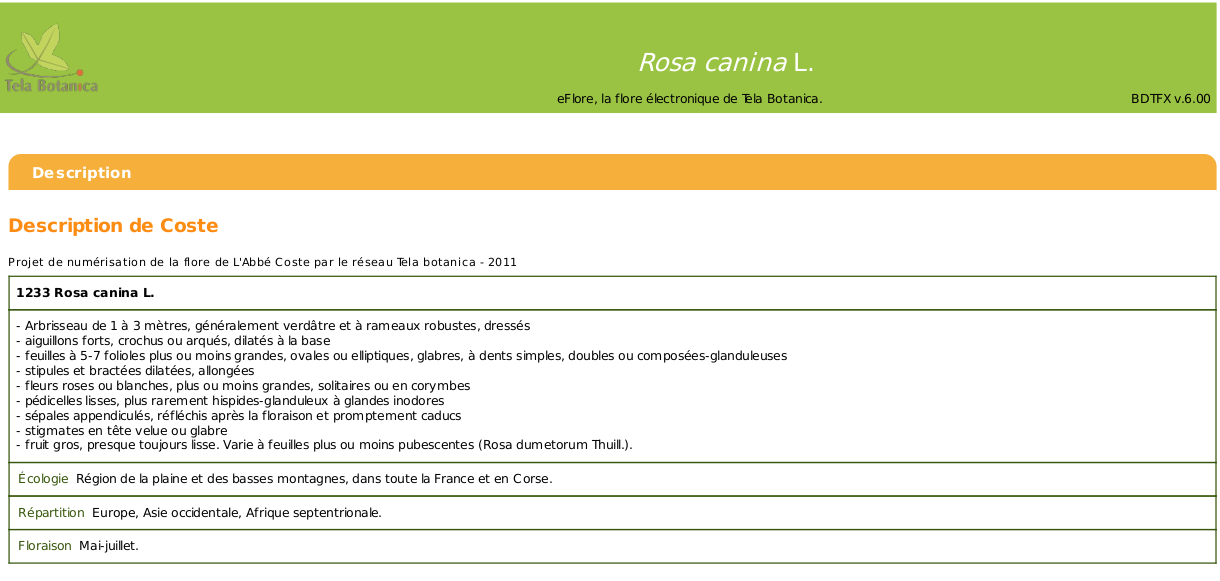 Annexe e6flore_Rosa_canina.png