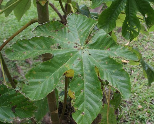 Annexe img-001122032O.jpg