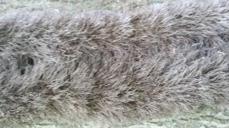 Annexe 2019-05-28 16.58.27 Crampons de Lierre comp.jpg