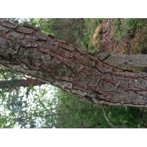 Annexe img_000747310CS.jpg