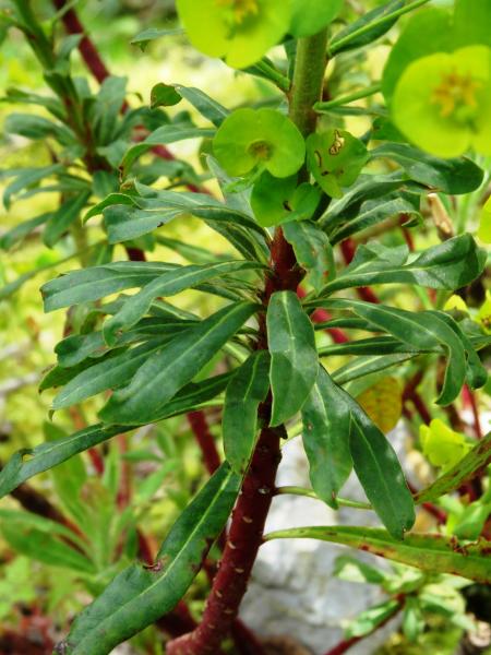 Annexe img_001464963L.jpg