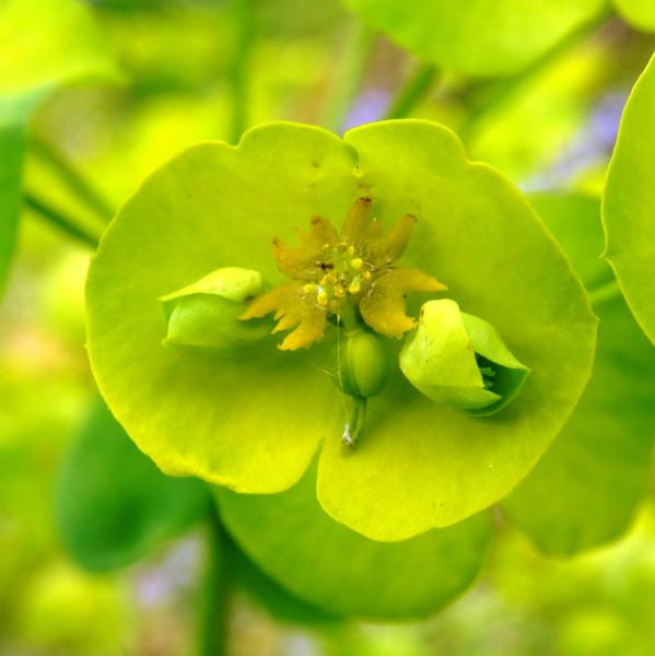 Annexe img_001464989L.jpg