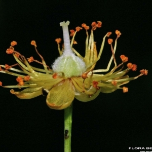 Annexe img_000176896CRS.jpg