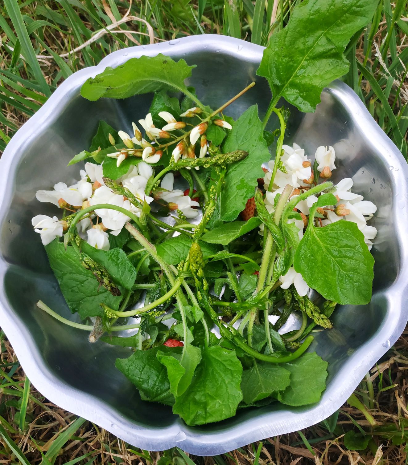 Annexe IMG_20200416_212815.jpg