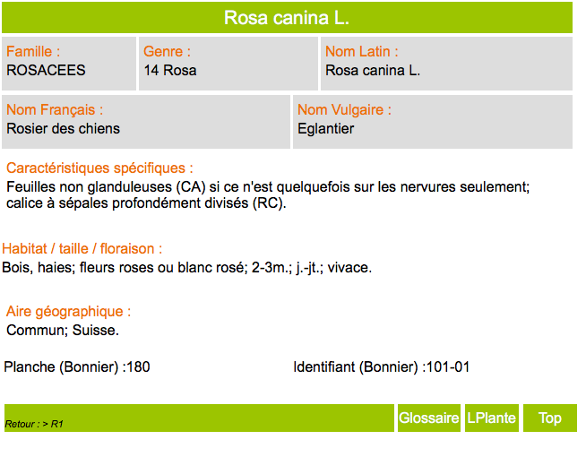 Annexe Capture d’écran 2020-04-18 à 16.46.32.png