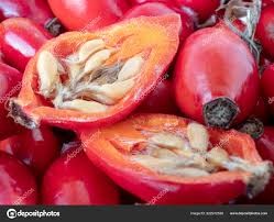 Annexe cynorhodon-graines.jpg