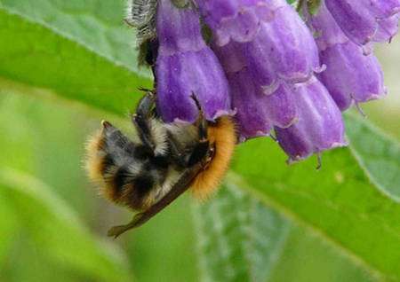 Annexe 23eceb5c81_50099548_5840-po04.jpg