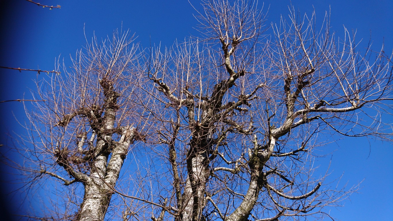 Annexe 2020 Hte Savoie WE du 7-8 mars (10).JPG