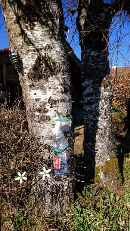 Annexe 2020 Hte Savoie WE du 7-8 mars (36).JPG