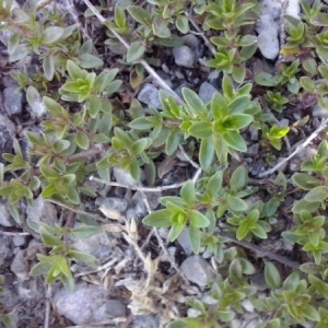 Annexe img-000327603CRS.jpg