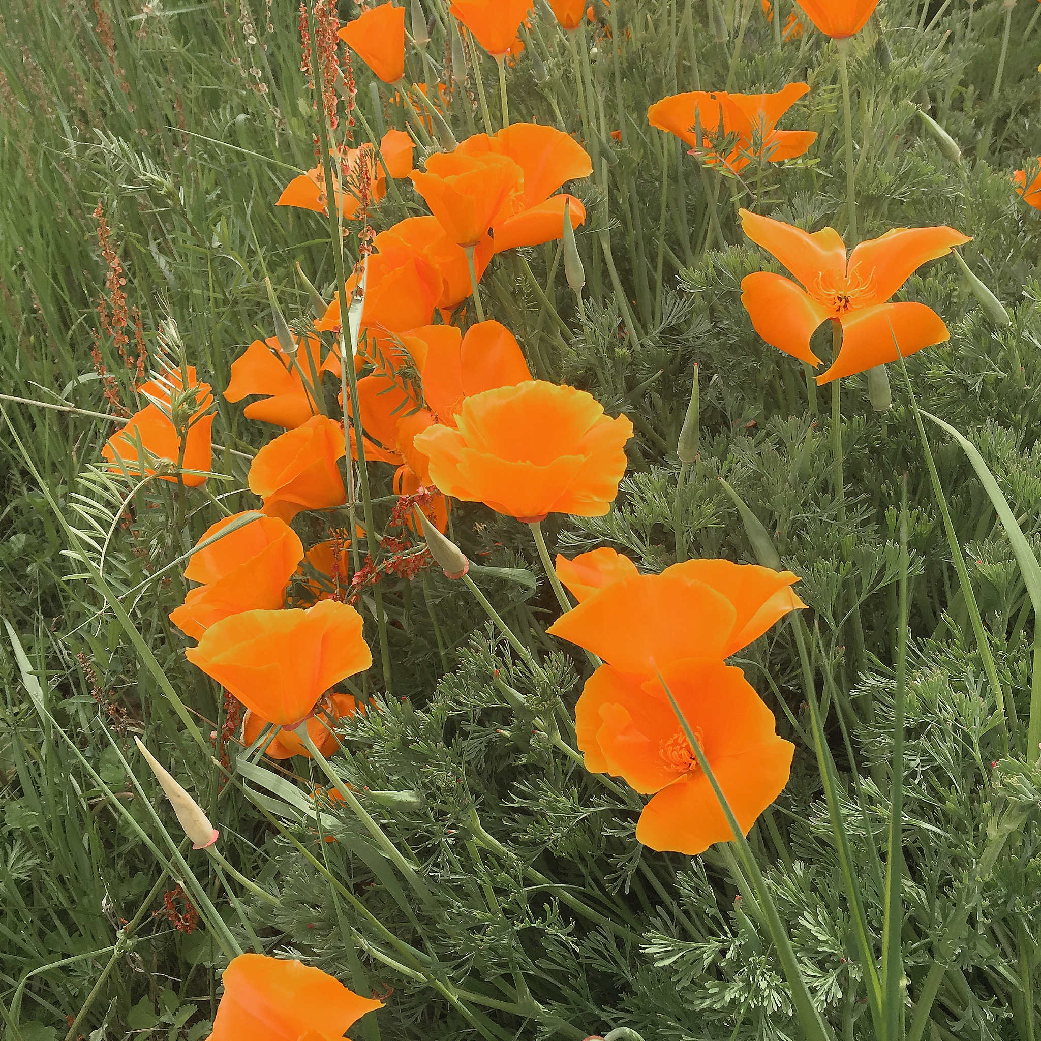 Annexe IMG_9444_DxO.jpg