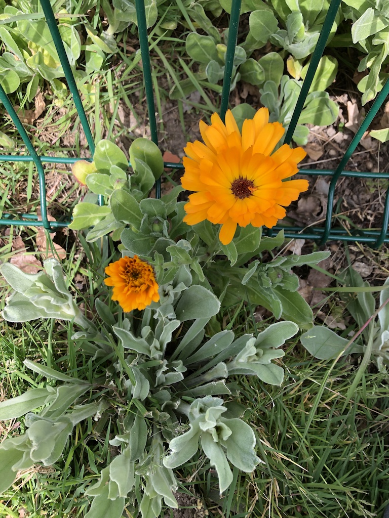 Annexe IMG_0152 - copie.jpg