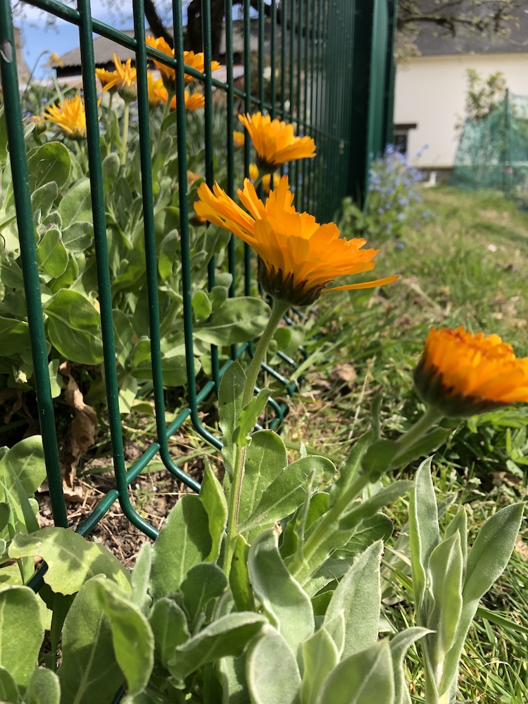 Annexe IMG_0154 - copie.jpg