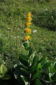 Annexe images (3).jpeg