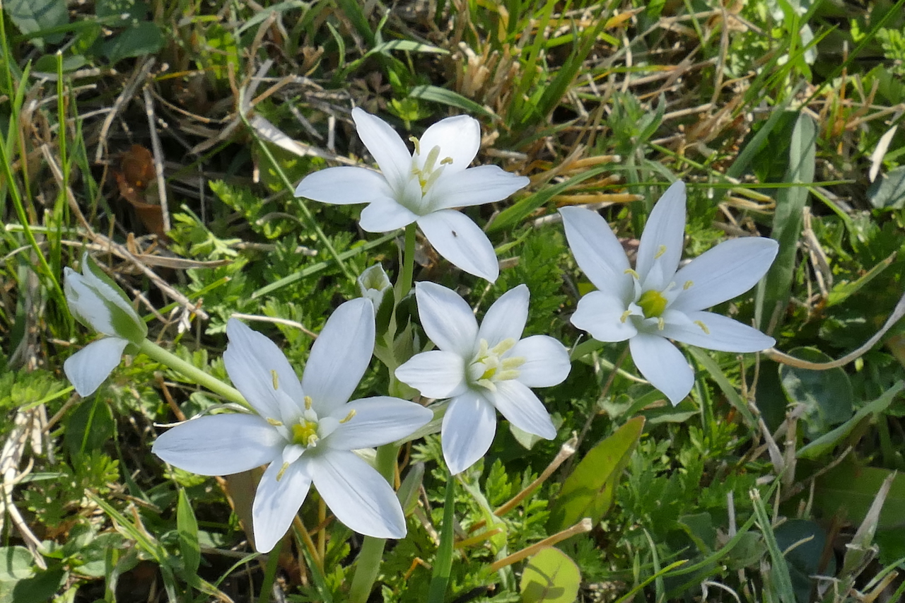 Annexe _1710027 copie.JPG