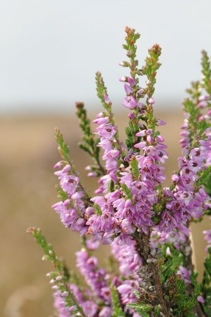 Annexe 7eaede17dd6ca1b285c17b0b3fd145e1.jpg