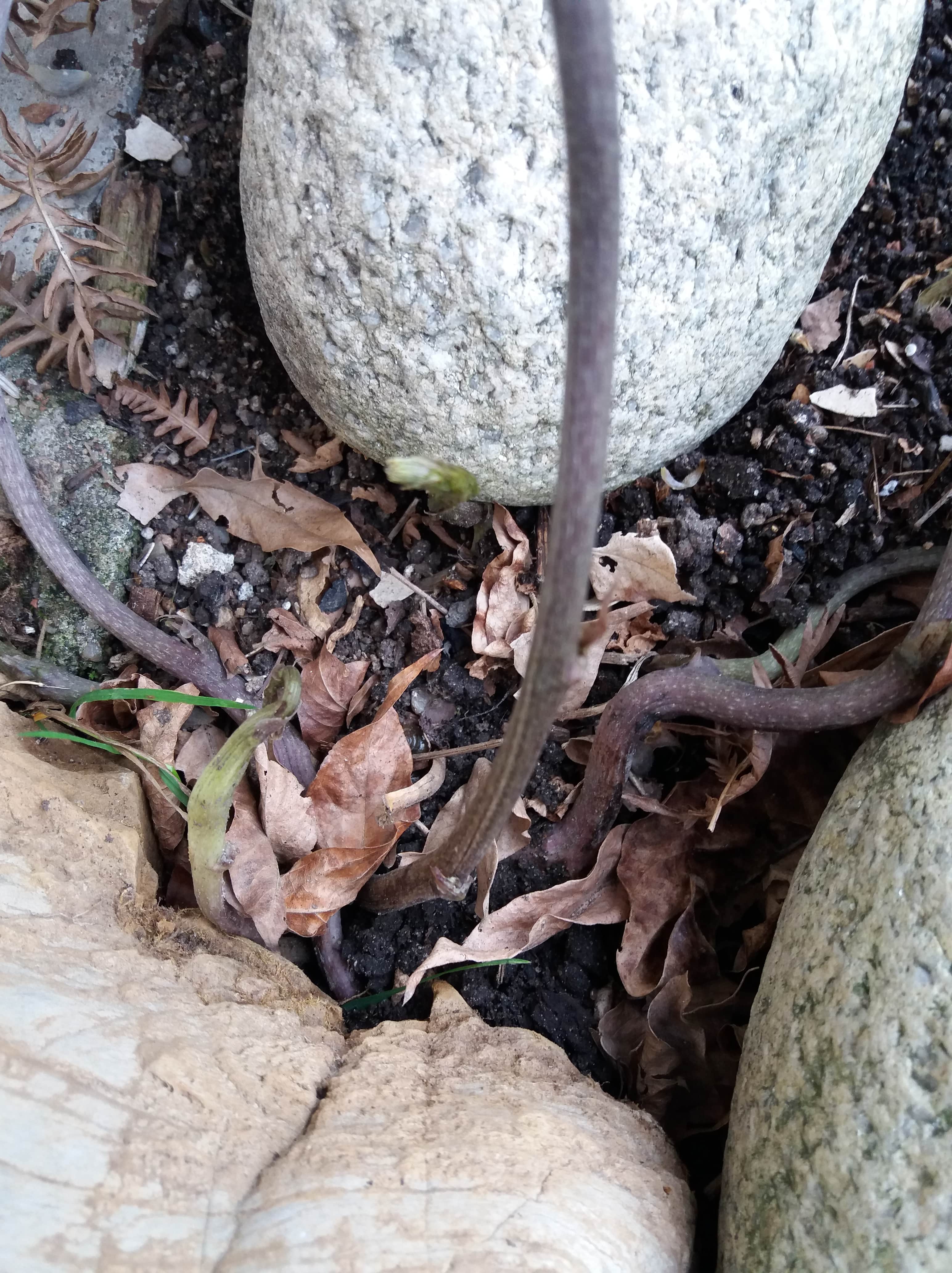 Annexe tamier plusieurs tiges-min.jpg