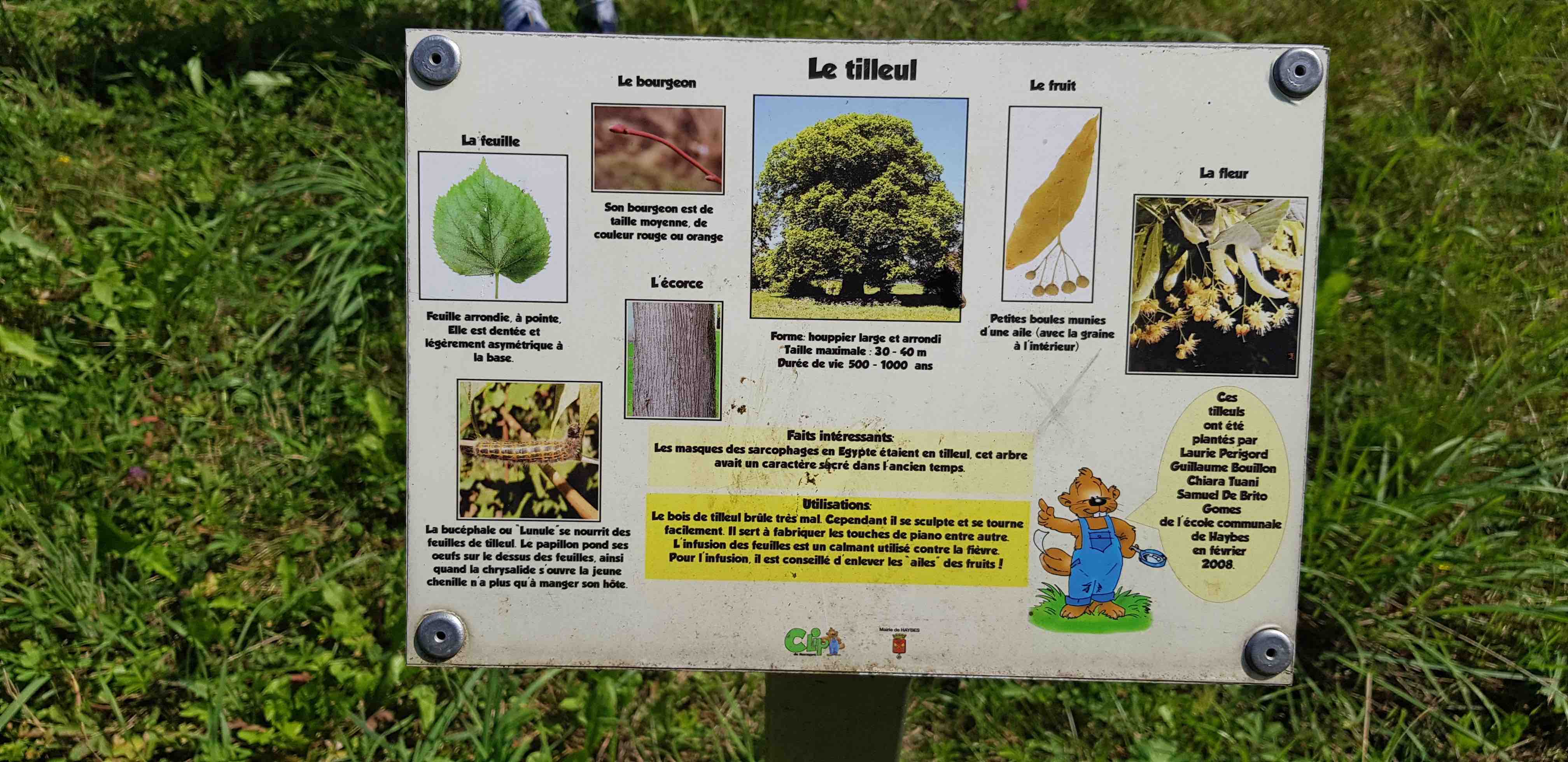 Annexe 20190821_130648(light).jpg