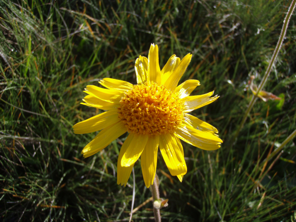 Annexe img_002350733L.jpg