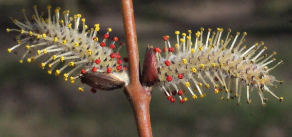 Annexe img_000294081L.jpg