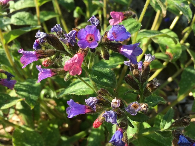 Annexe D49CD18A-614C-4BF2-AD22-4C6C7A116024.jpeg