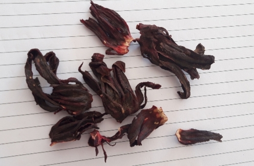 Annexe 20200415_175302.jpg