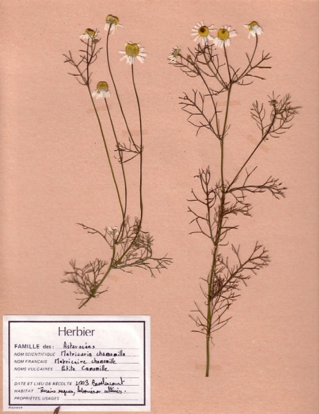 Annexe 785AB555-E26F-47D5-A4EC-BEE4D58F2B68.jpeg