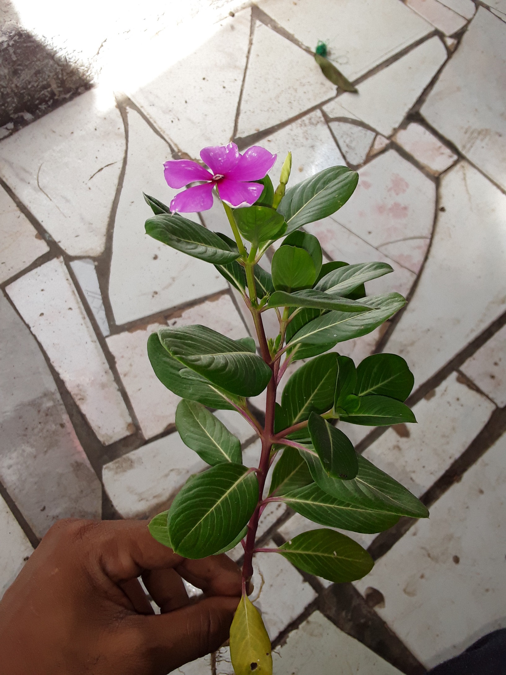 Annexe 202004628.jpg