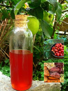 Annexe cd9bbcc3dcd3dd5dffb7bbdb4793d080--rosehip-recipes-herbal-magic.jpg