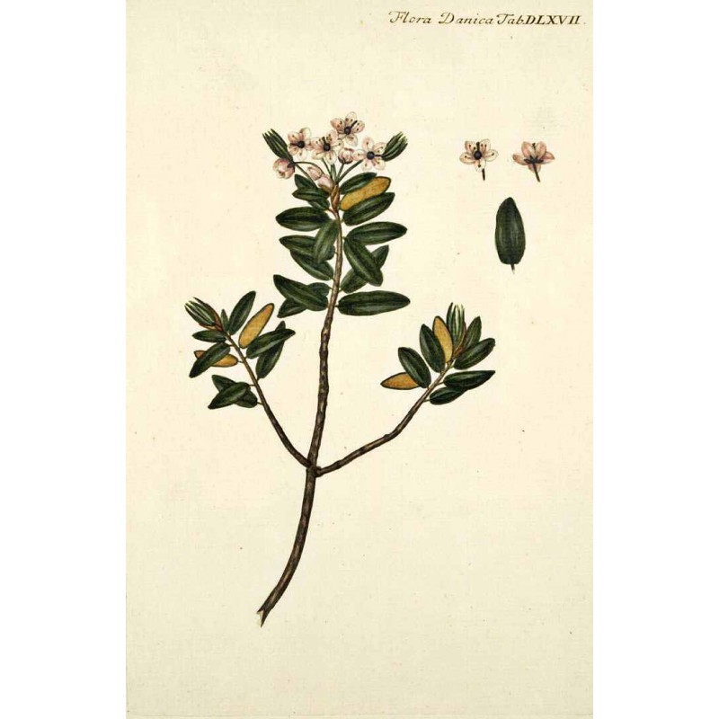 Annexe 1880-thickbox_default.jpg