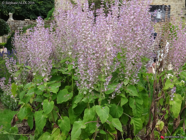 Annexe GBPIX_photo_717926.jpg