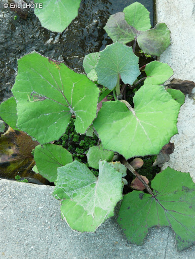 Annexe 3BCB29B8-E6DF-4213-A1B1-D2E6435CB46F.jpeg