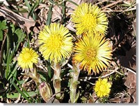 Annexe 90CEC63C-B95F-464C-8EF1-FB938B644B7B.jpeg