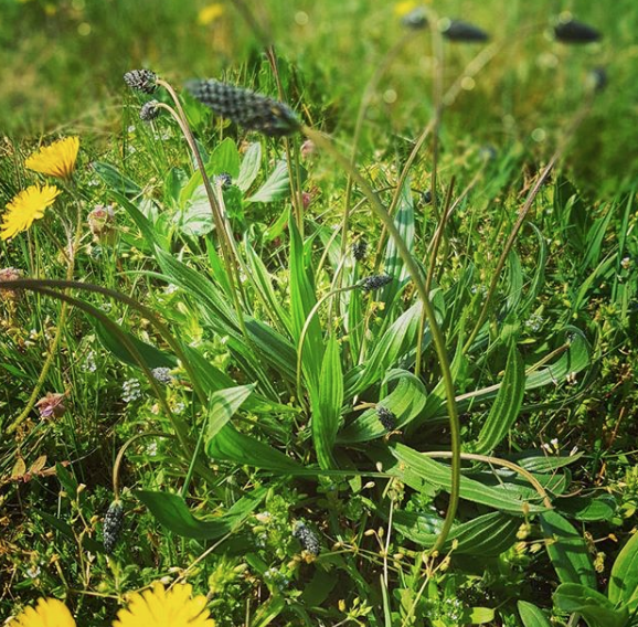 Annexe Capture d’écran 2020-04-28 à 19.51.47.png
