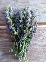 Annexe téléchargement (1).jpg