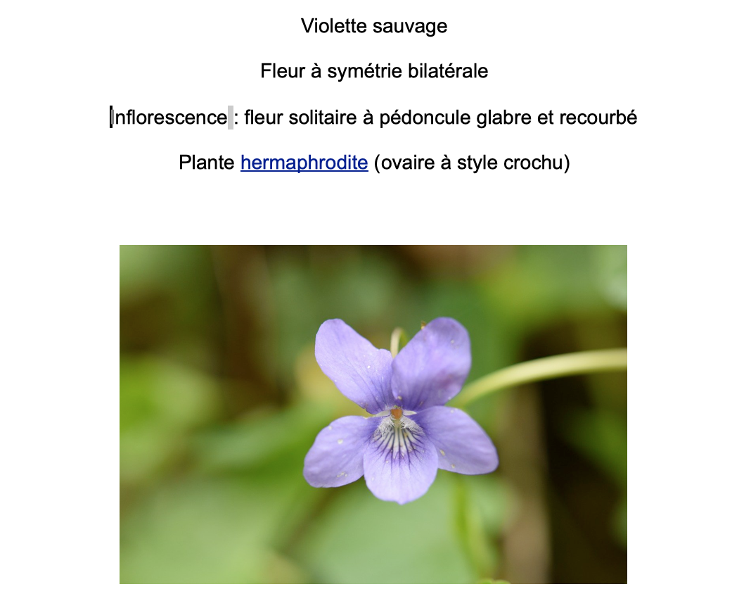 Annexe Capture d’écran 2020-04-03 à 10.10.46.png