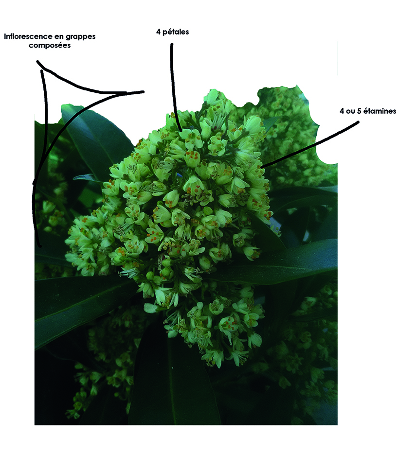 Annexe Sans titre-1.jpg