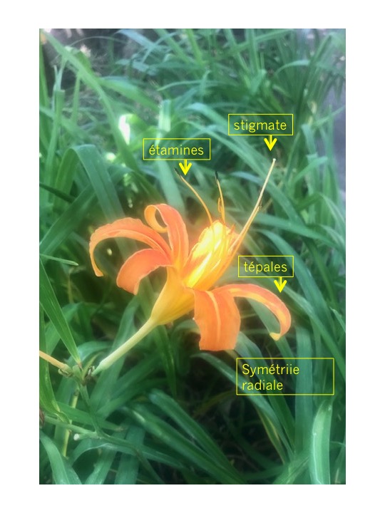 Annexe Diapositiva1.jpg