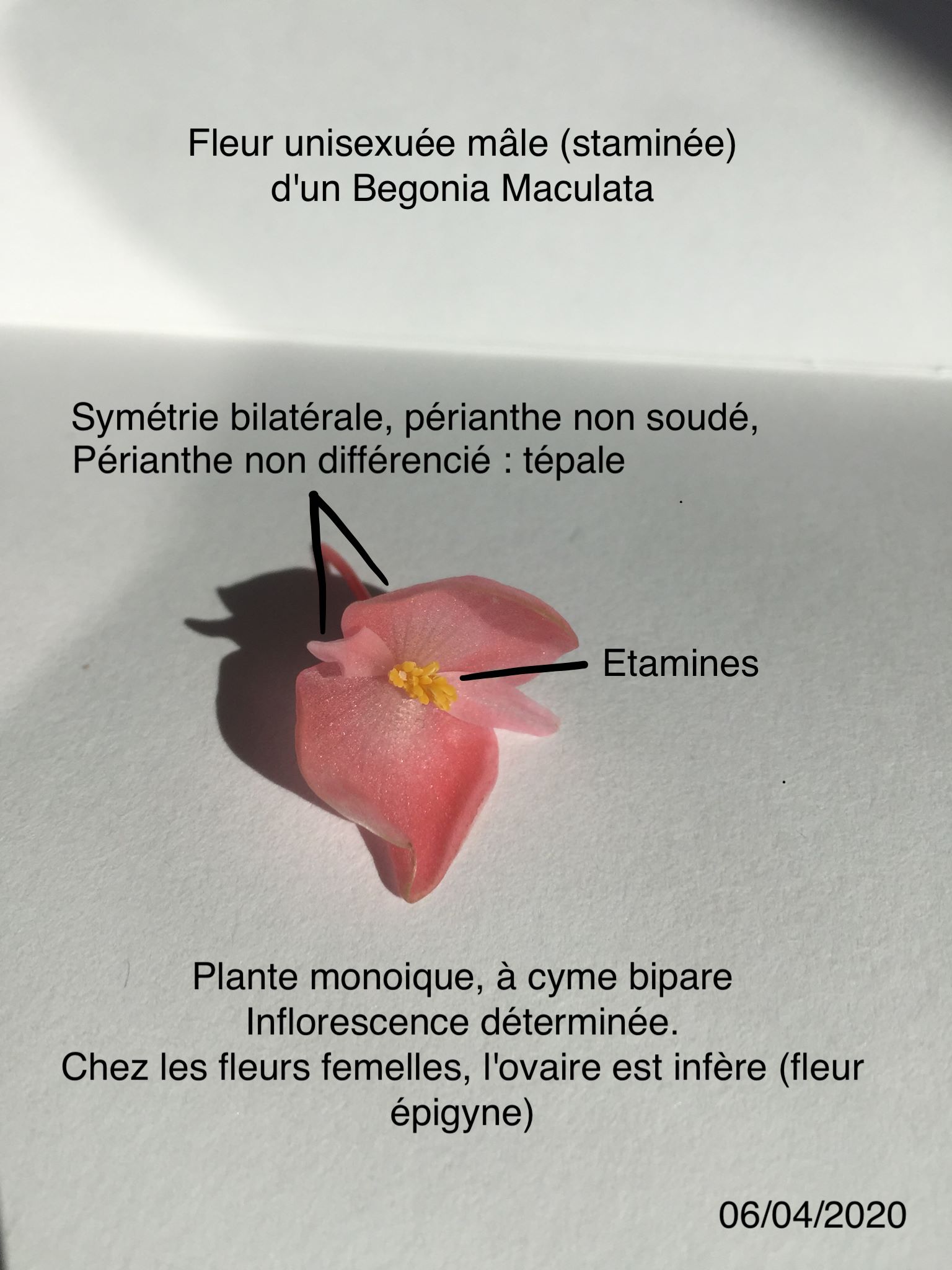 Annexe 92157614_287192372270427_3793781983067242496_n.jpg