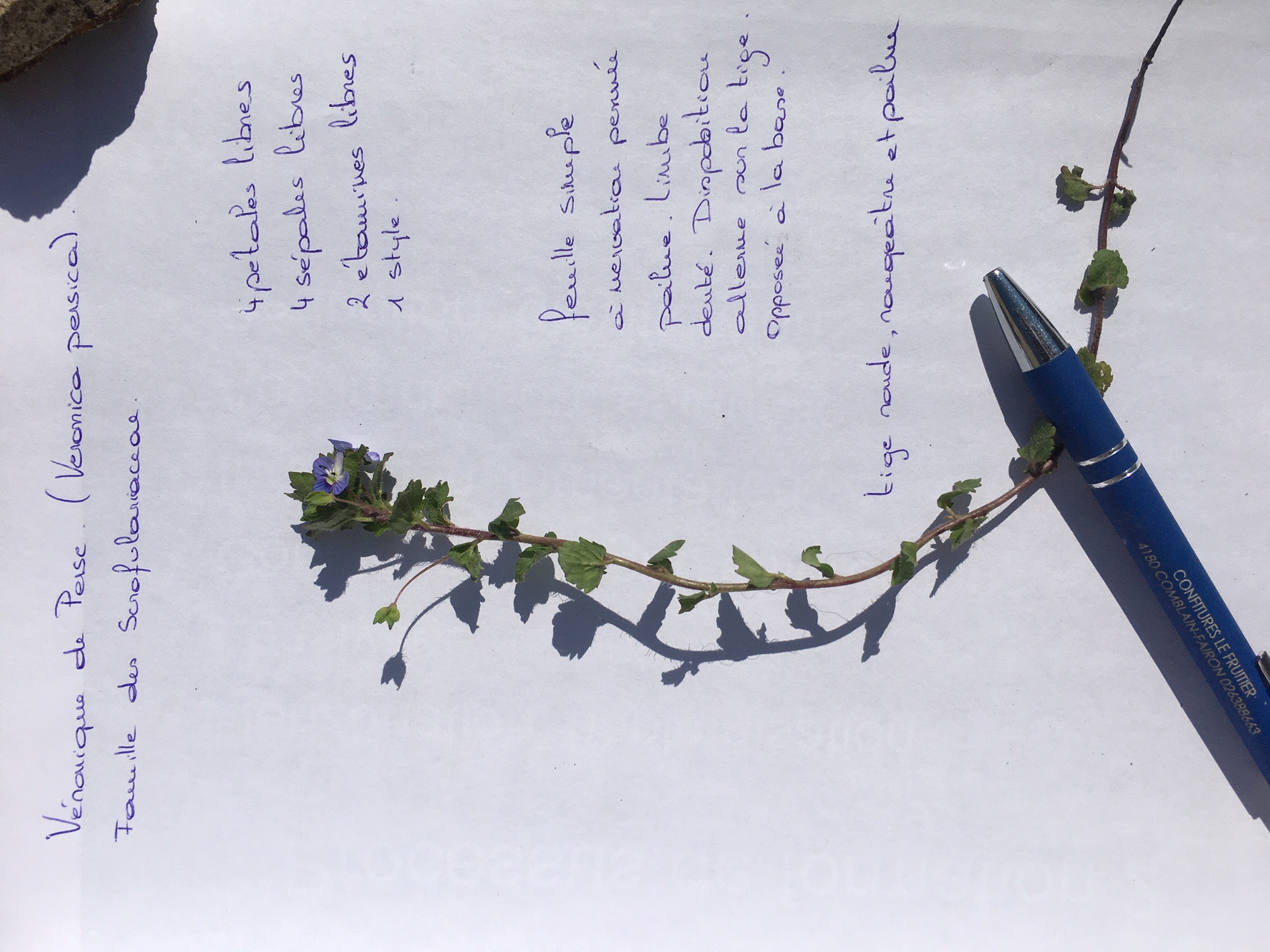 Annexe ECDEAB43-DCE2-4C19-99E9-539524523BEE.jpeg