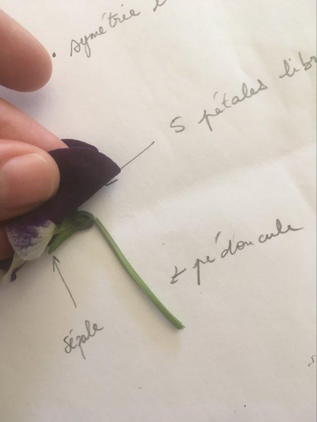 Annexe 92353797_218666922563398_9218443819580653568_n.jpg