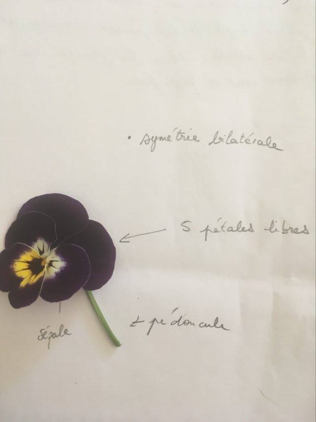 Annexe 92401981_518150182458993_6183795558029721600_n.jpg