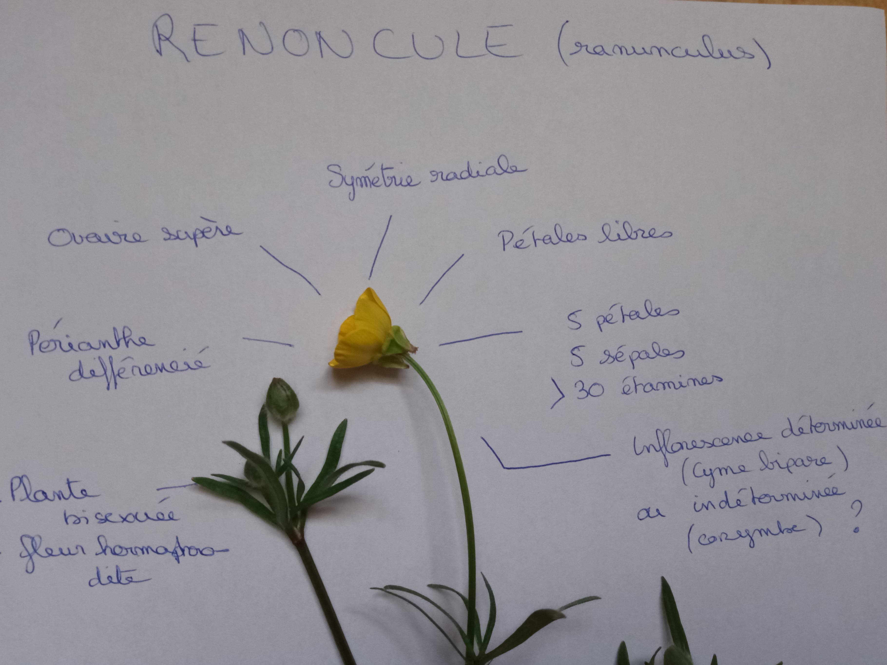 Annexe 91916343_712862492788632_7626770768369549312_n.jpg