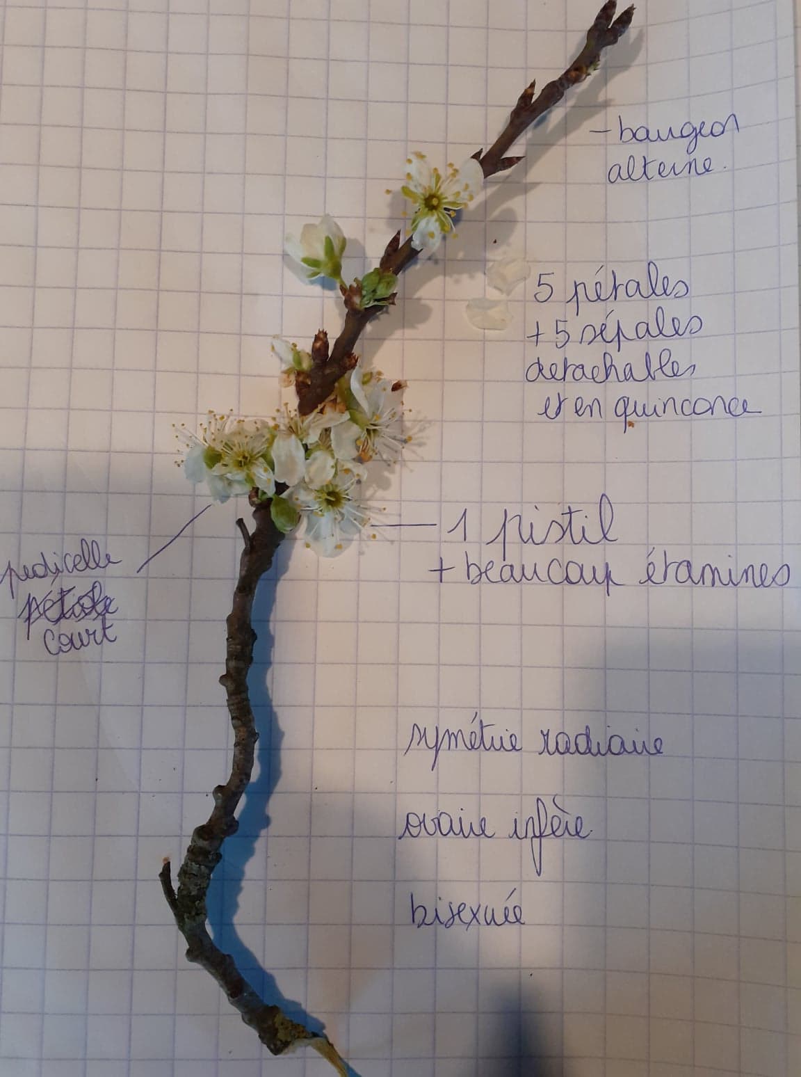 Annexe 92176591_1407508562761697_5181152017057316864_n.jpg