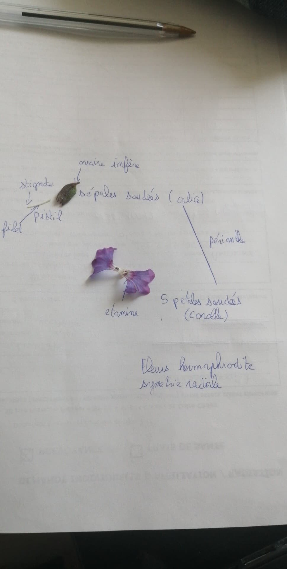 Annexe 92438113_824095038077103_1525402706561204224_n (1).jpg