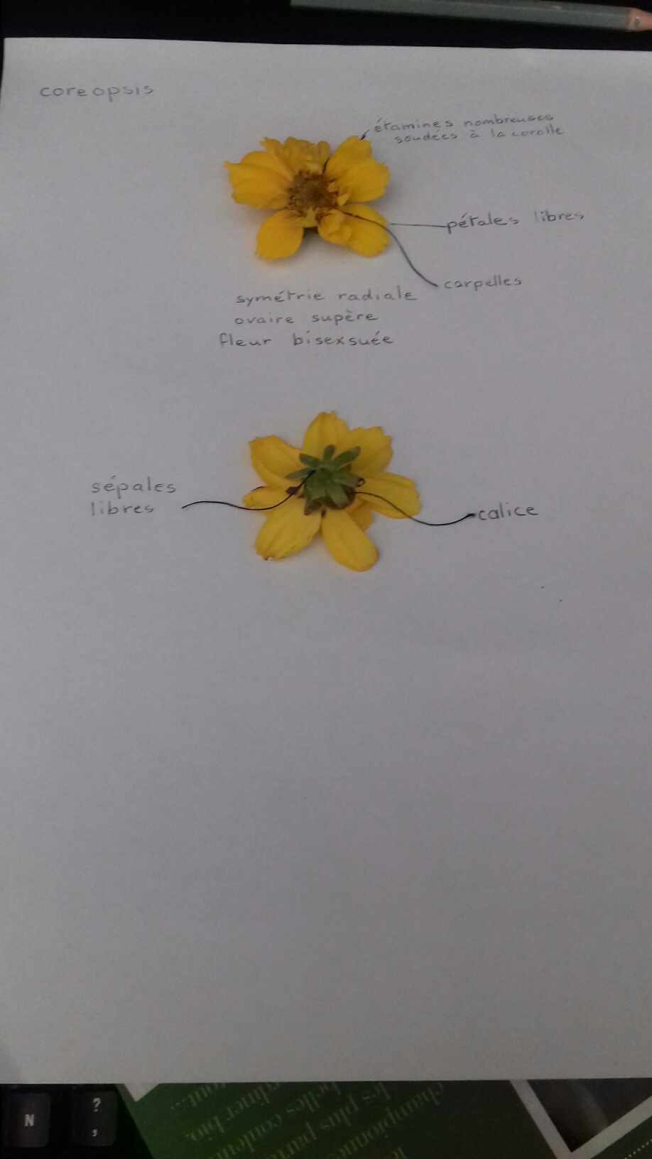 Annexe 20200407_140811_resized.jpg