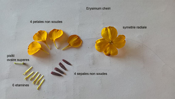 Annexe WP_20200405_11_11_37.jpg